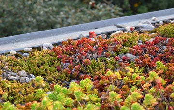 the cost of East Woodlands green roof installation