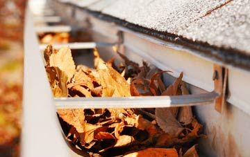 East Woodlands gutter cleaning companies