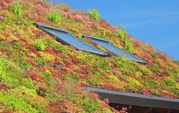 East Woodlands living roof systems