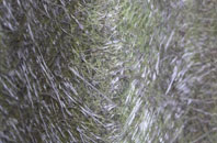 East Woodlands fibreglass roof work