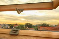 rated East Woodlands roof window companies